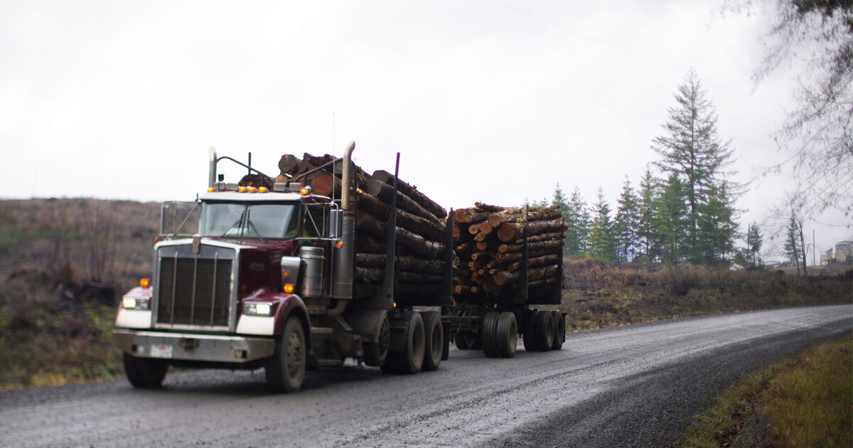 How We Analyzed Data From Oregon’s Timber Industry Radio Free