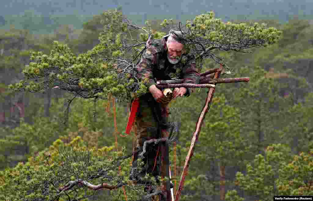 Ivanouski builds a nest with wire and branches atop a tree in the Belarusian wilderness. The former software engineer has built nearly 700 such nests, which he says are necessary since many birds of prey in Belarus lose their homes to logging.