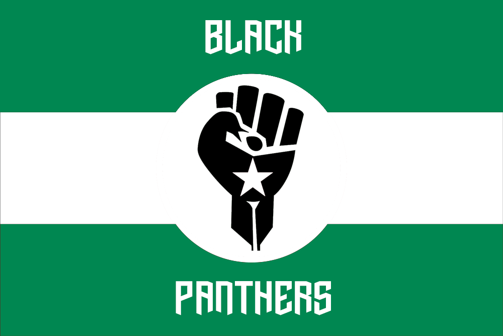 Flag for the Black Panthers (Black Panther Party) : vexillology