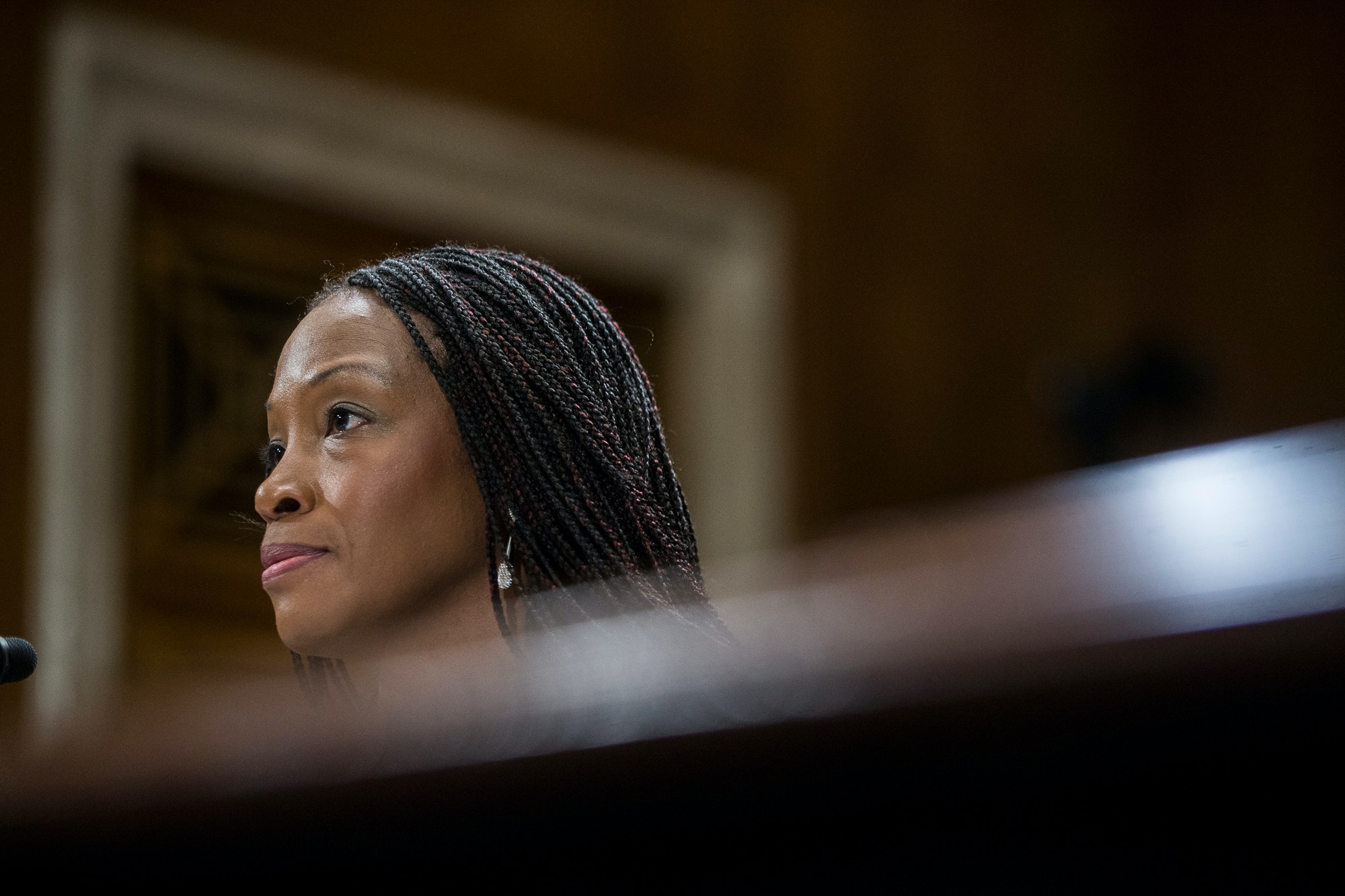 Nominee to be Director for the Fish and Wildlife Service Aurelia Skipwith testifies during a Senate Environment and Public Works Committee confirmation hearing on September 11, 2019 in Washington, DC.