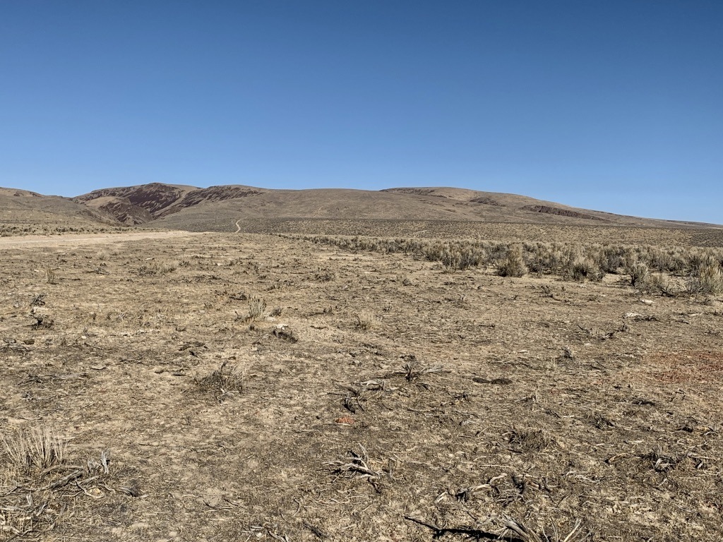 A picture containing outdoor, sky, field, grass Description automatically generated